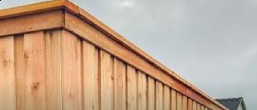 Cedar privacy fence with flat cap and single trim board